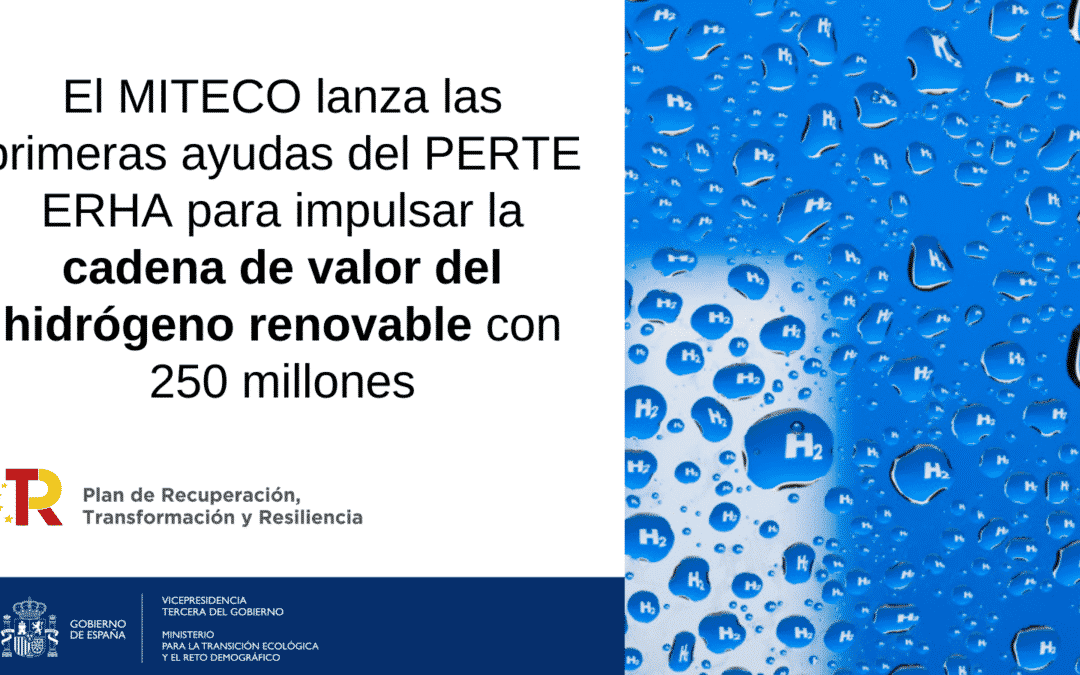 El MITECO publica las primeras líneas de ayudas del PERTE de Energías Renovables, Hidrógeno Renovable y Almacenamiento.